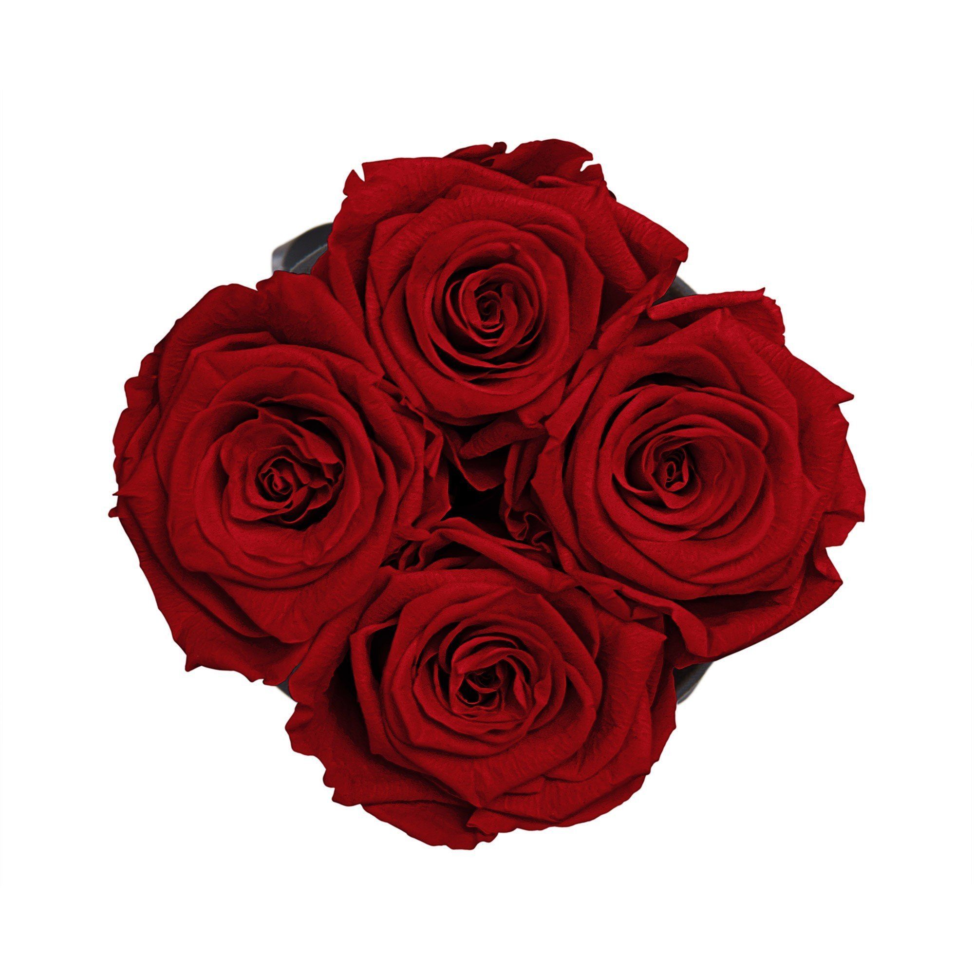 Kunstblume Runde Rosenbox in schwarz Echte, Flowers, Blumen konservierte duftende Jahre Raul Richter Infinity Rosen haltbar Holy I I Infinity Rose, 11 by 4-5 3 cm I Red Höhe Heritage mit