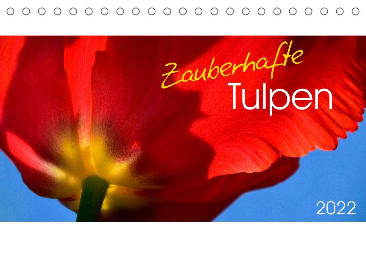 Weihnachten 2022 Otto CALVENDO Wandkalender »Zauberhafte Tulpen (Tischkalender 2022 DIN A5
