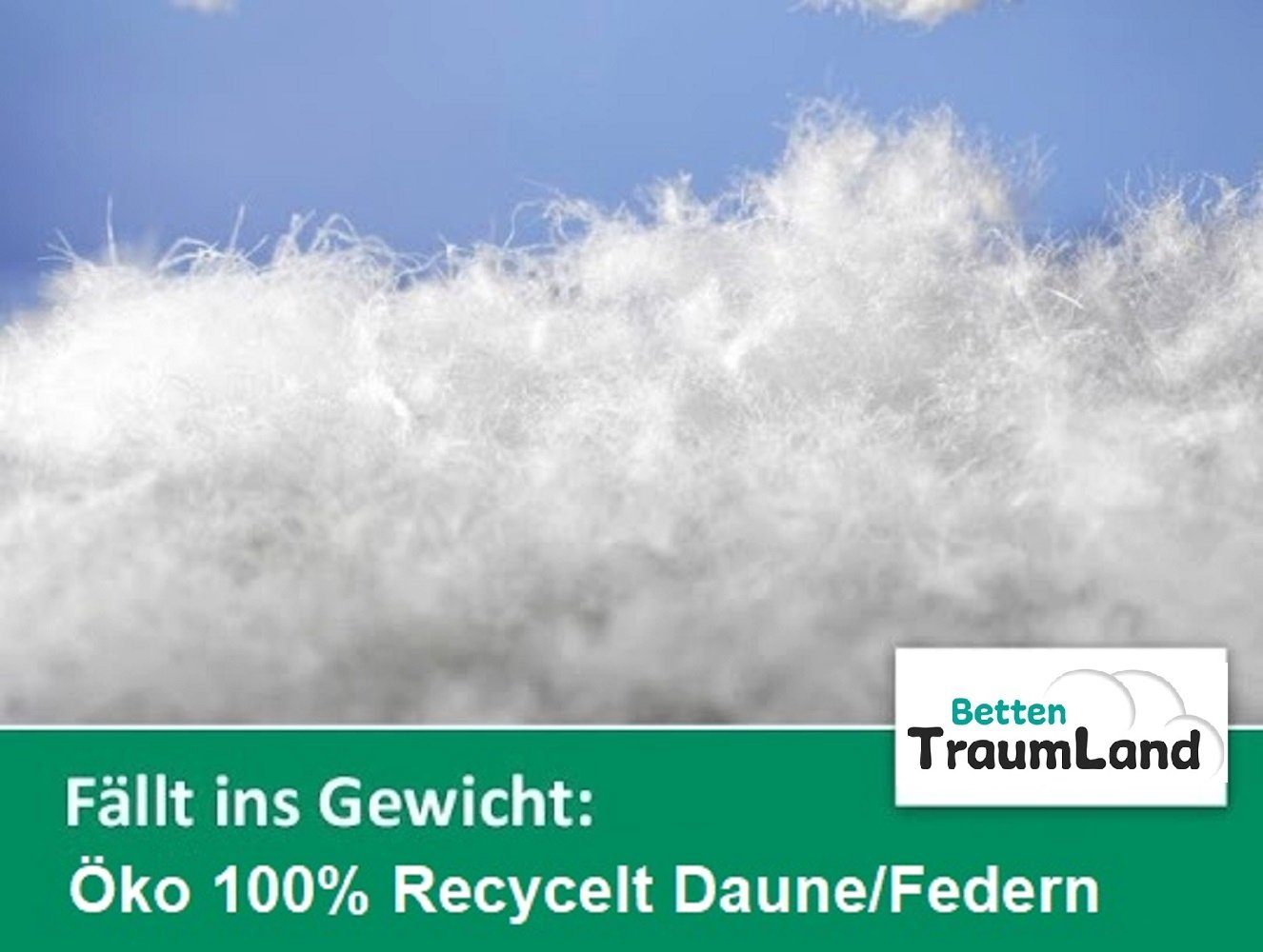 Federn 70% Recycling nachhaltig, Öko Betten Recycling 30% Kopfkissen Daune Daune Kissen cm Traumland 40x80