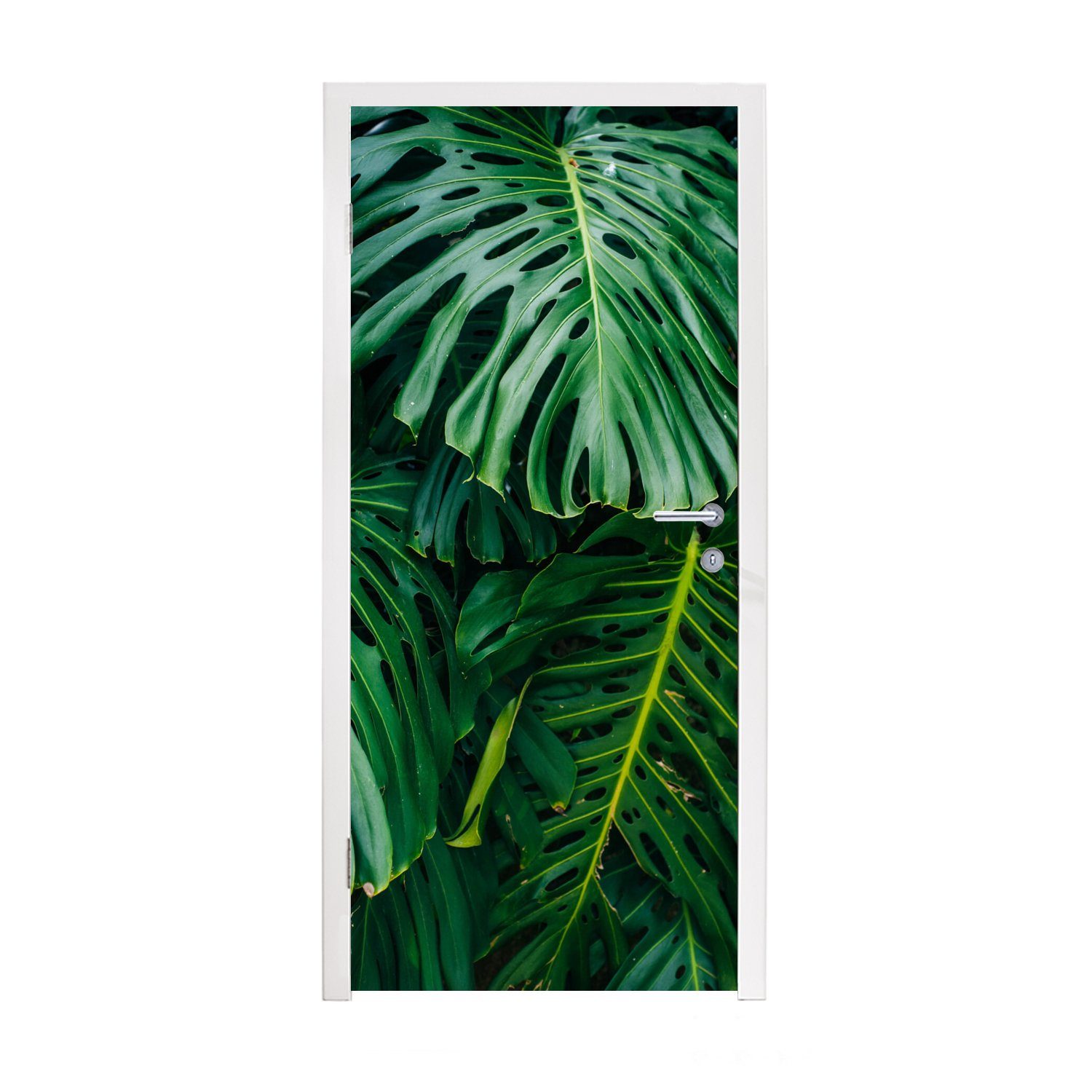 MuchoWow Türtapete Dunkelgrüne botanische Blätter in einem Garten, Matt, bedruckt, (1 St), Fototapete für Tür, Türaufkleber, 75x205 cm