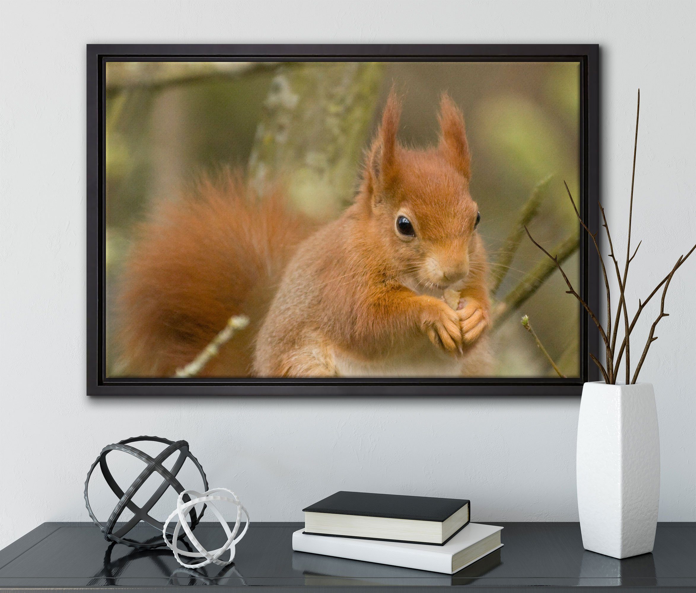 St), inkl. einem Leinwandbild Kleines Eichhörnchen, Schattenfugen-Bilderrahmen fertig gefasst, bespannt, (1 in Leinwandbild Zackenaufhänger Wanddekoration Pixxprint