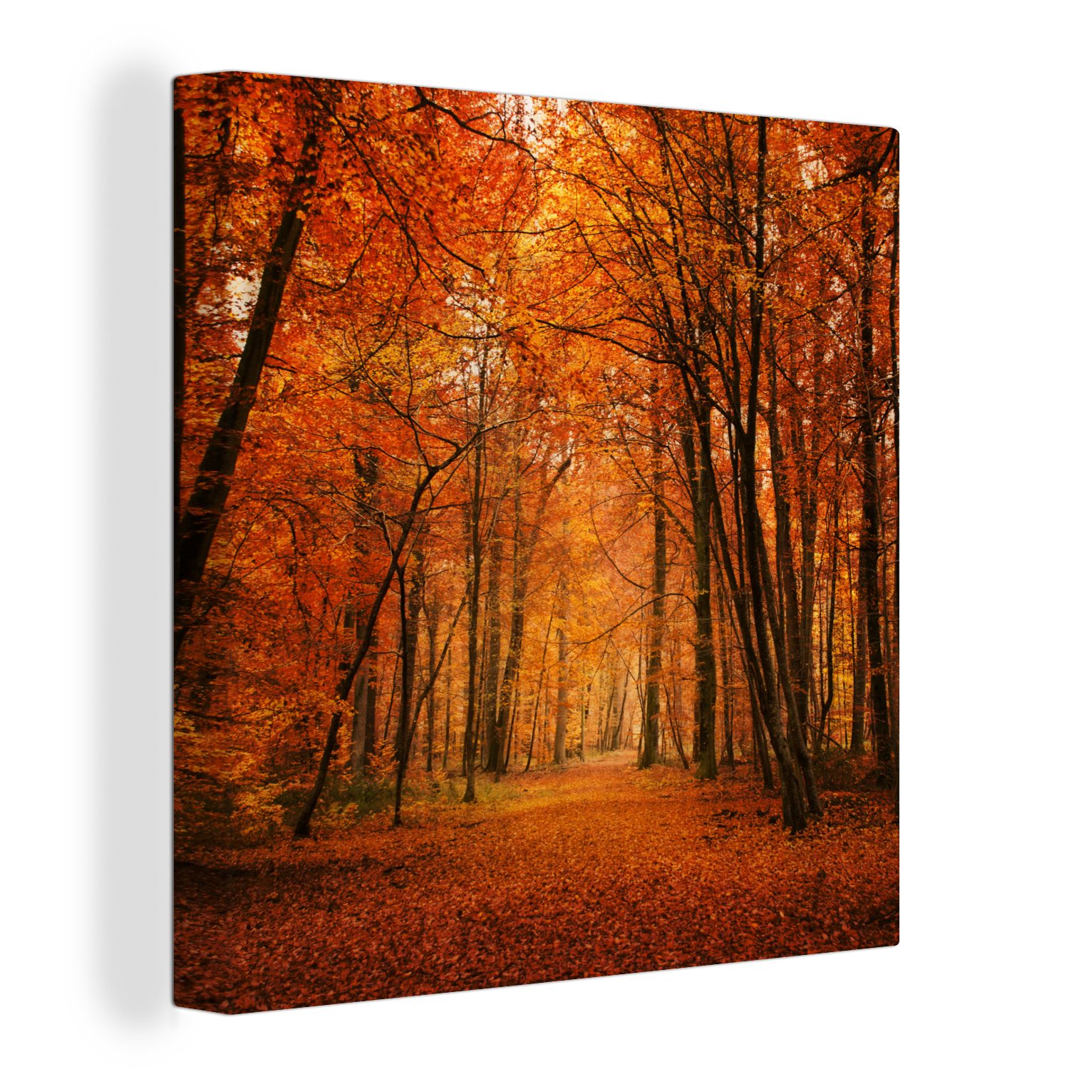 OneMillionCanvasses® Leinwandbild Ein Wald mit Herbstfarben, (1 St), Leinwand Bilder für Wohnzimmer Schlafzimmer | Leinwandbilder