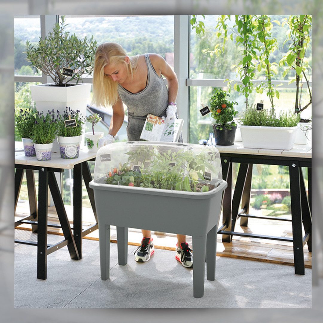nm_trade Hochbeet Hochbeet Gewächshaus Blumentopf Blumenkasten günstig online kaufen