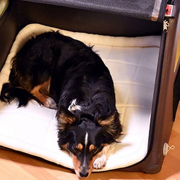 Tami-Dogbox Hunde-Transportbox TAMI - Aufblasbares Hundebox Seatbox - Dog Box Hundetransportbox Hund, Aufblasbare Hundebox mit Airbagfunktion