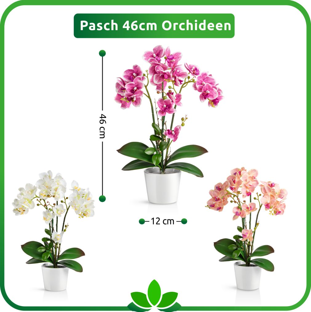 Kunstorchidee PASCH® Orchidee künstlich wie echt (46cm) in Hochglanz-Keramiktopf Orchidee, PASCH, Real Touch – Bild 5 von 5