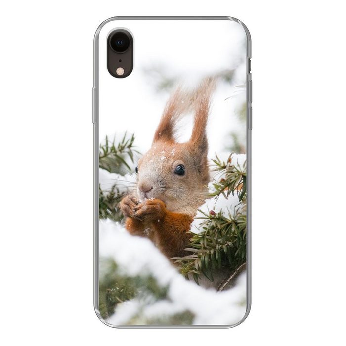 MuchoWow Handyhülle Eichhörnchen - Kiefer - Schnee Handyhülle Apple iPhone XR Smartphone-Bumper Print Handy