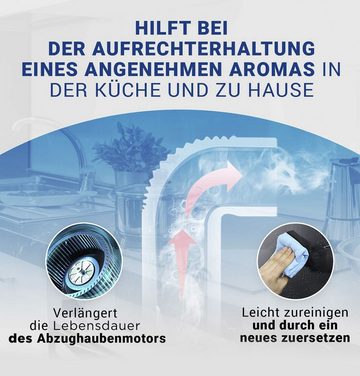 VIOKS Kohlefilter Aktivkohlefilter Ersatz für Siemens DSZ4551 LZ45510 11025805 11008080, Zubehör für Dunstabzugshaube, 300 x 198 mm