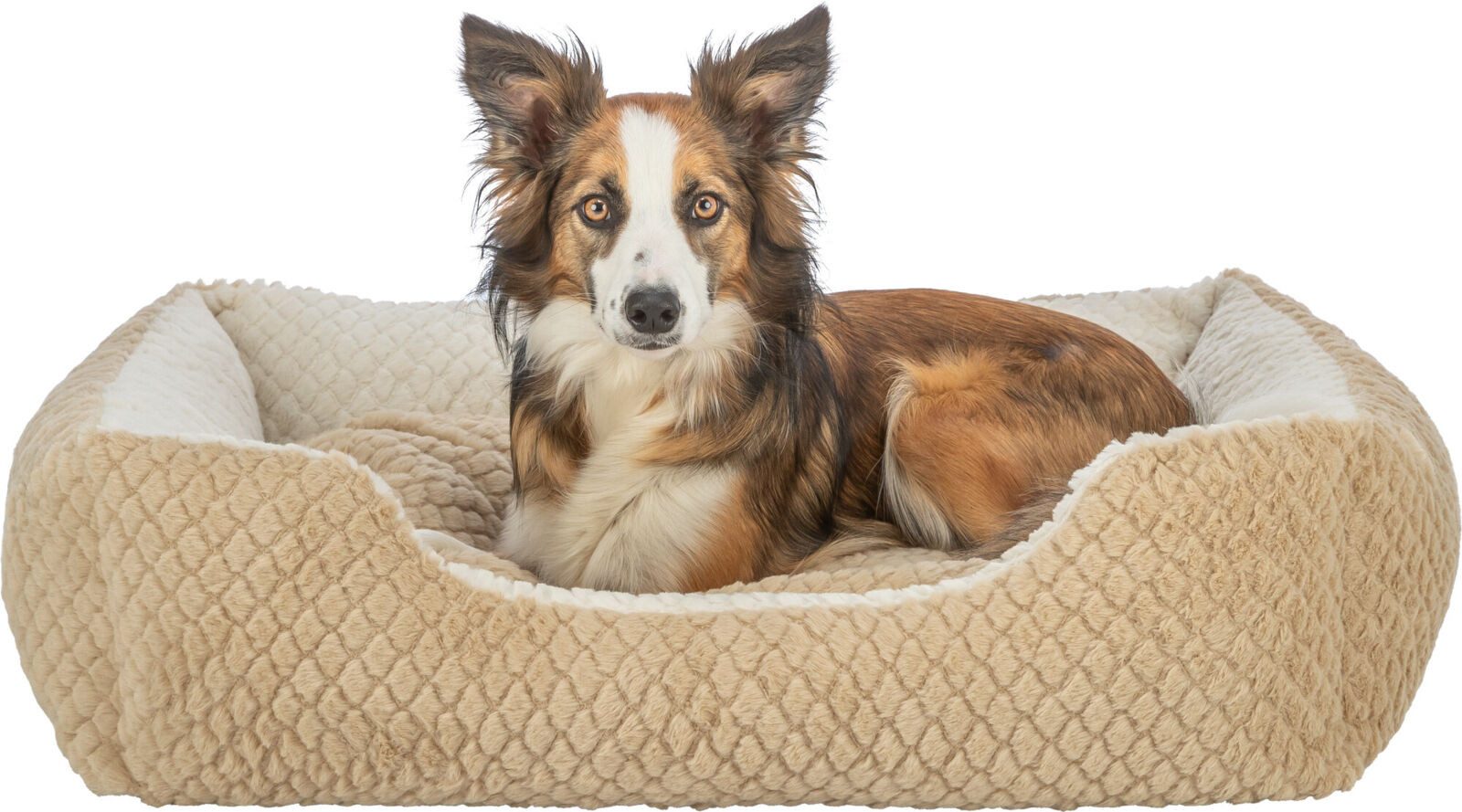 TRIXIE Hundebett Bett Kaline Mio - braun/creme - 50 × 40 cm