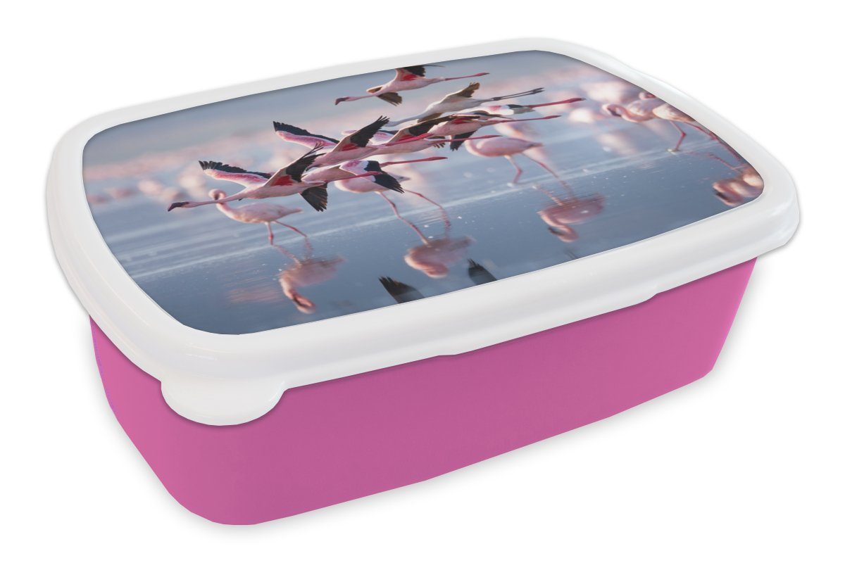 Kinder, Snackbox, (2-tlg), - Erwachsene, Vogel MuchoWow Rosa, für Flamingo - Brotbox Mädchen, Wasser Kunststoff, - Lunchbox Kunststoff Brotdose