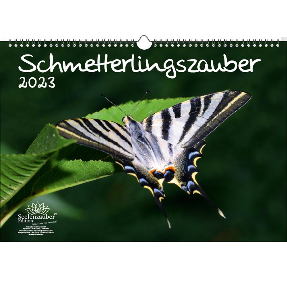 Schmetterlingszauber: Kostenlose Ausmalbilder für Groß und Klein – Kreativität, die Flügel verleiht!