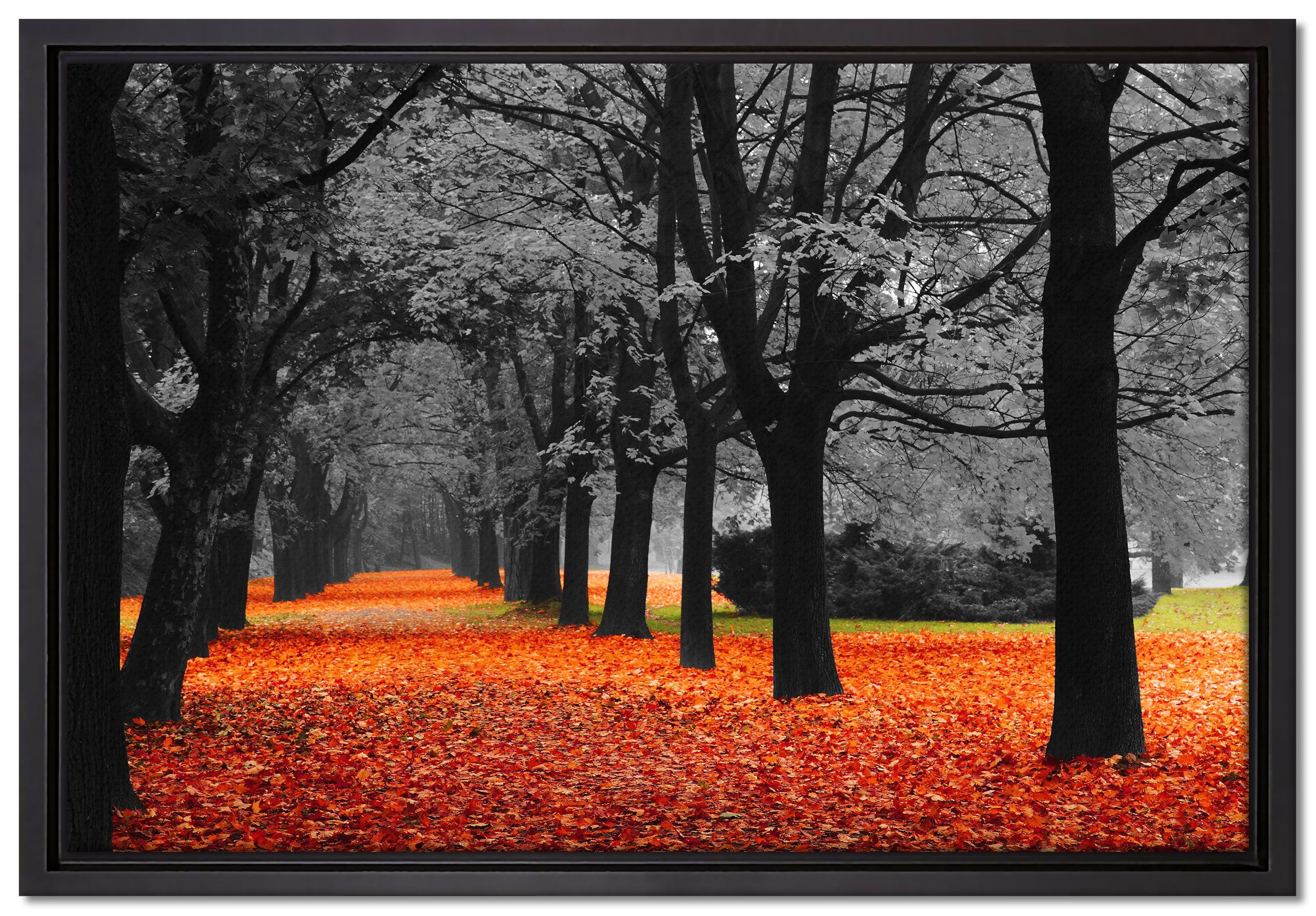 Zackenaufhänger (1 schöner gefasst, Pixxprint St), Wanddekoration bespannt, Leinwandbild im einem Waldweg Leinwandbild in Schattenfugen-Bilderrahmen inkl. Herbst, fertig