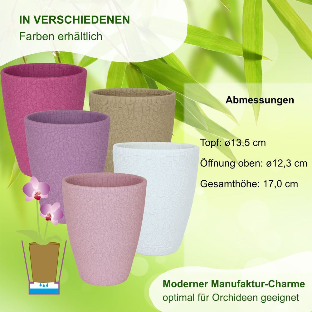 Heimwerkercenter Übertopf Pia Paloni - Orchideenvase günstig online kaufen
