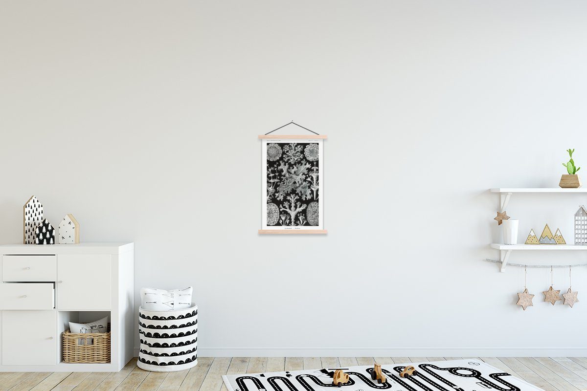 Wohnzimmer, St), Haeckel Bilderleiste, braun - - Posterleiste, Magnetisch Poster Ernst MuchoWow für braun Kunst Alte - Textilposter Natur, - Koralle (1 | Meister