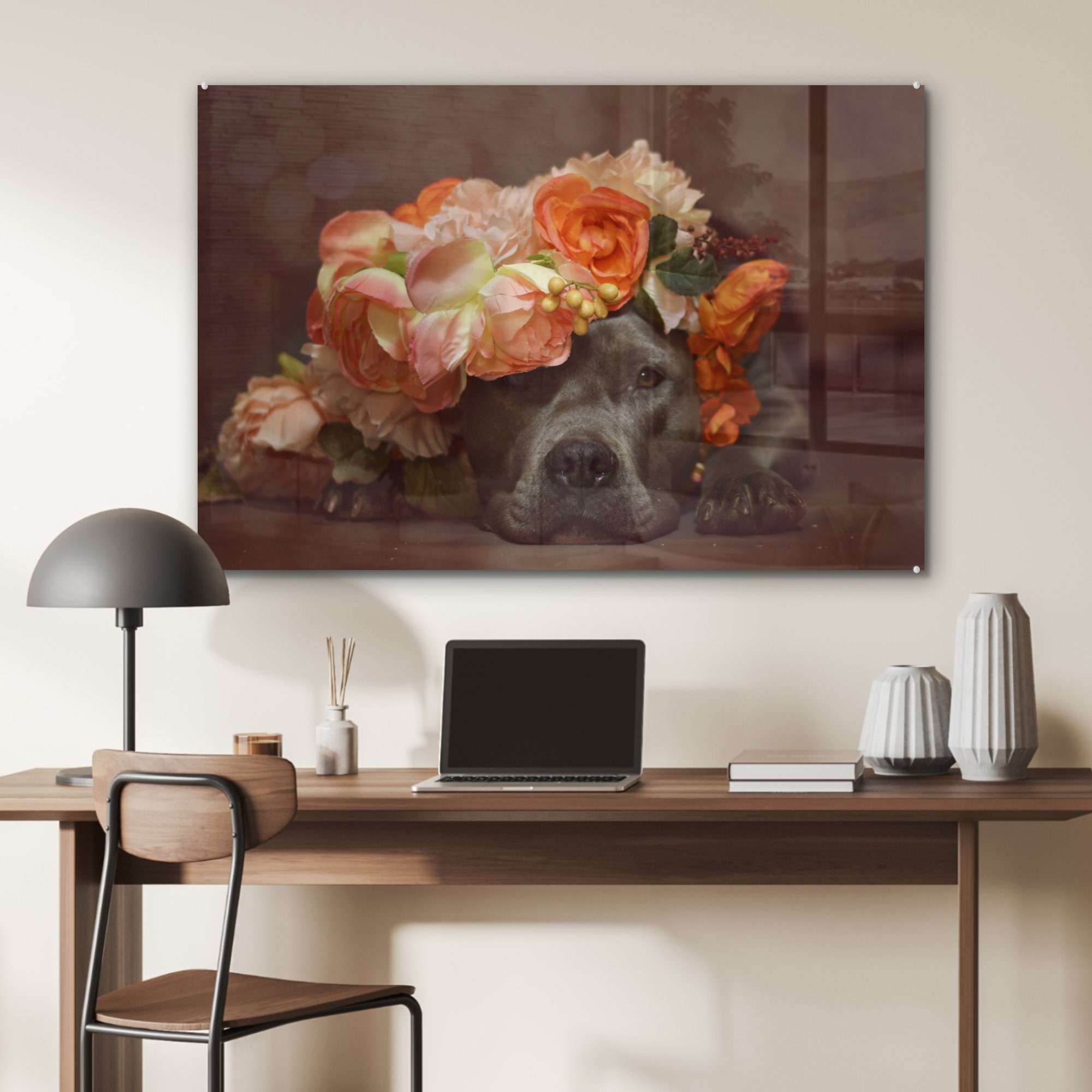 (1 Wohnzimmer Hund Pitbull Orange, MuchoWow - & - St), Schlafzimmer Acrylglasbilder Acrylglasbild