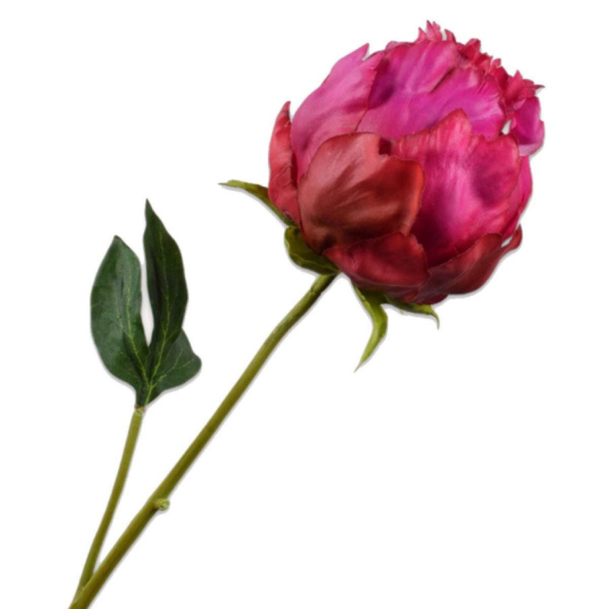 Künstliche Zimmerpflanze Seidenblume Pfingstrose Knospe Pink (58cm), SILK-KA