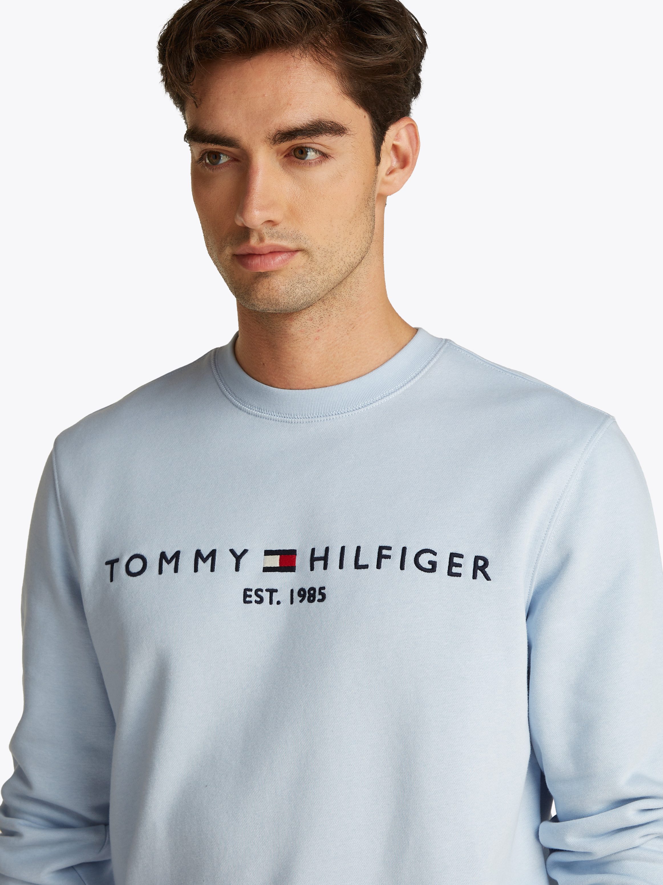 Tommy Hilfiger Sweatshirt TOMMY LOGO unifarben, casual, regular fit, Baumwollmix, Rundhals