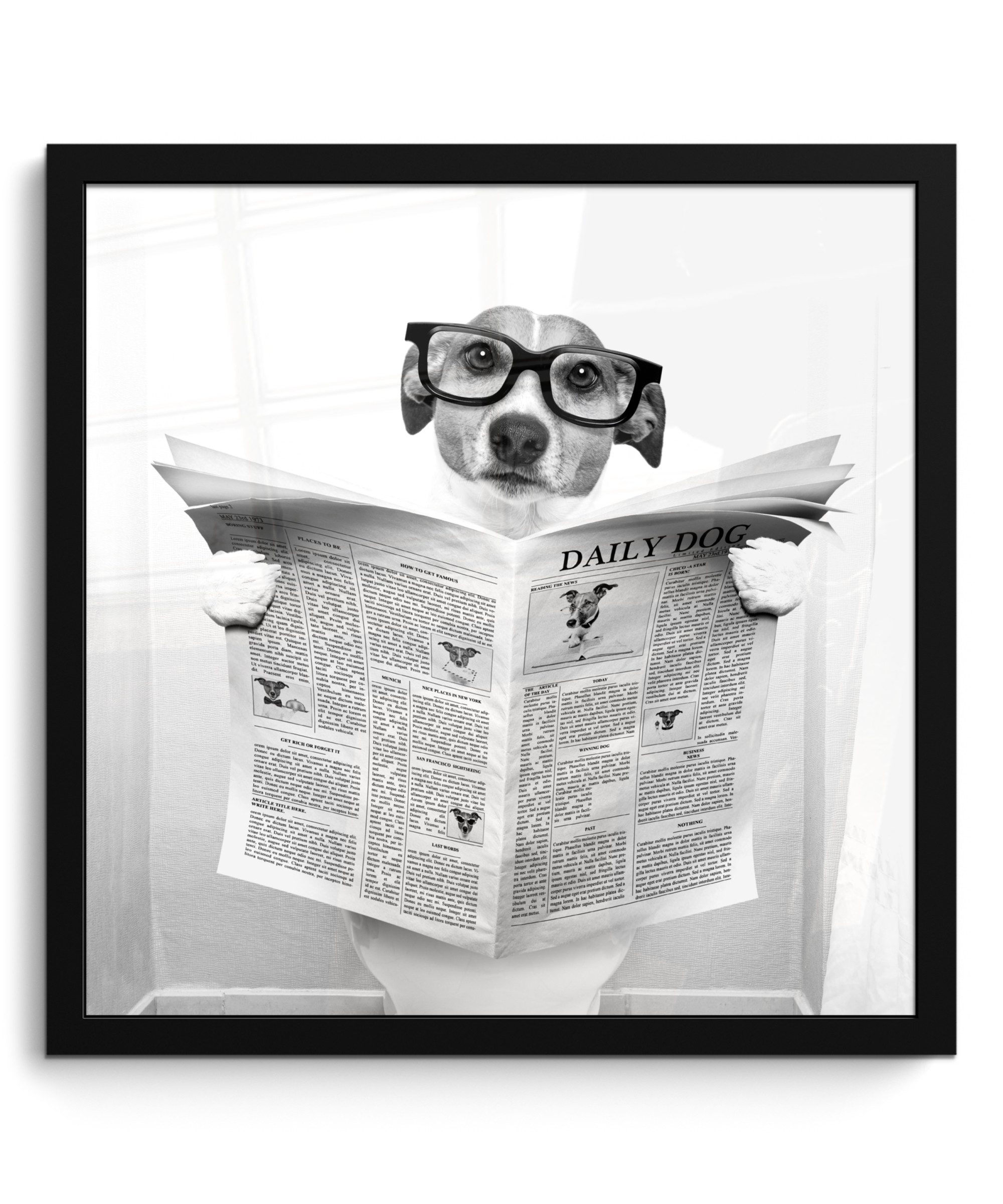 MuchoWow Poster Hund - Zeitung - günstig online kaufen