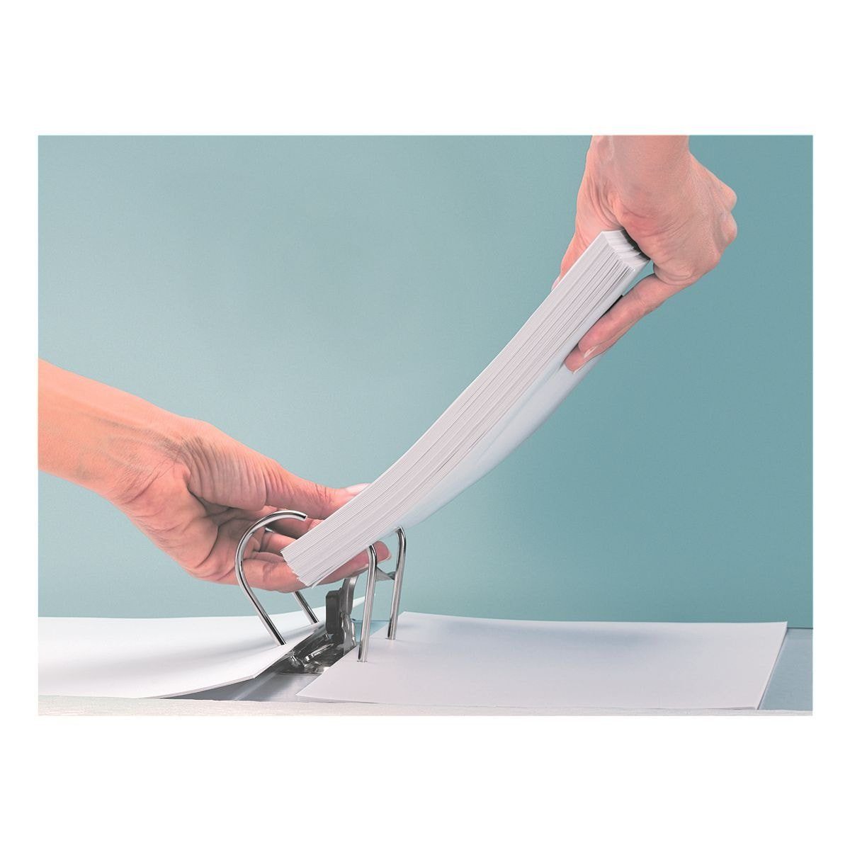 LEITZ Aktenordner 1015, Ordner schmal, auswechselbares Rückenschild