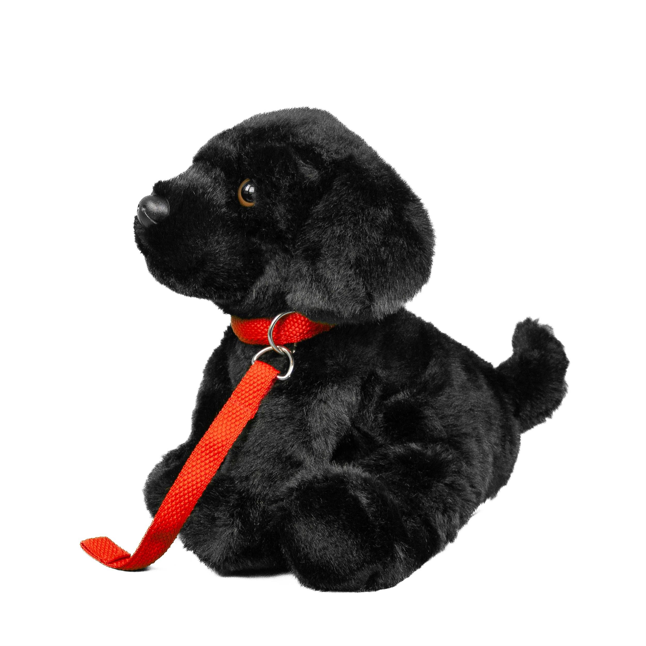 Teddys Rothenburg Kuscheltier Labrador + Leine sitzend schwarz 28 cm Plüschhund (Plüschtier, Stofftier, Stoffhund), mit Hundeleine