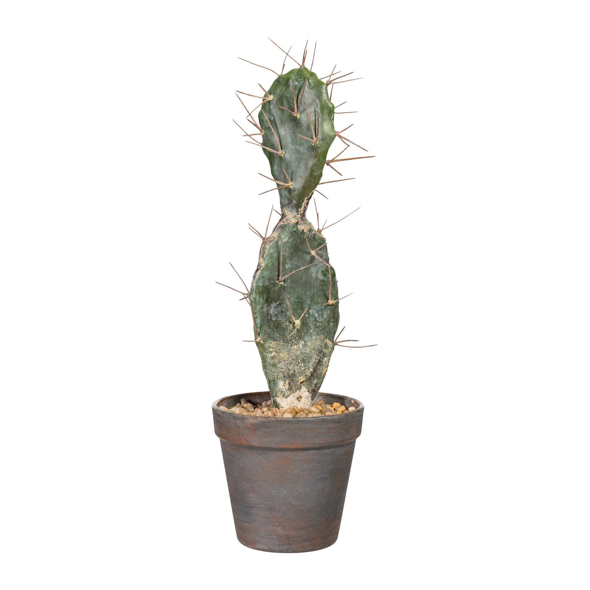 Kunstpflanze Kaktus Opuntie im Kunststofftopf 35 cm, Gasper, Höhe 35.00 cm