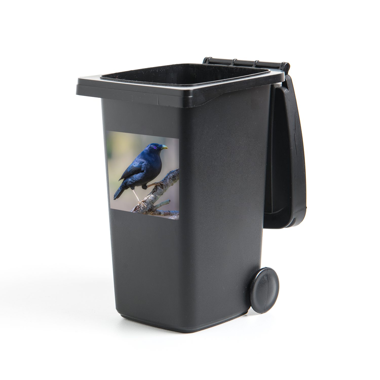 MuchoWow Wandsticker Blauer Laubenvogel auf einem Zweig (1 St), Mülleimer-aufkleber, Mülltonne, Sticker, Container, Abfalbehälter