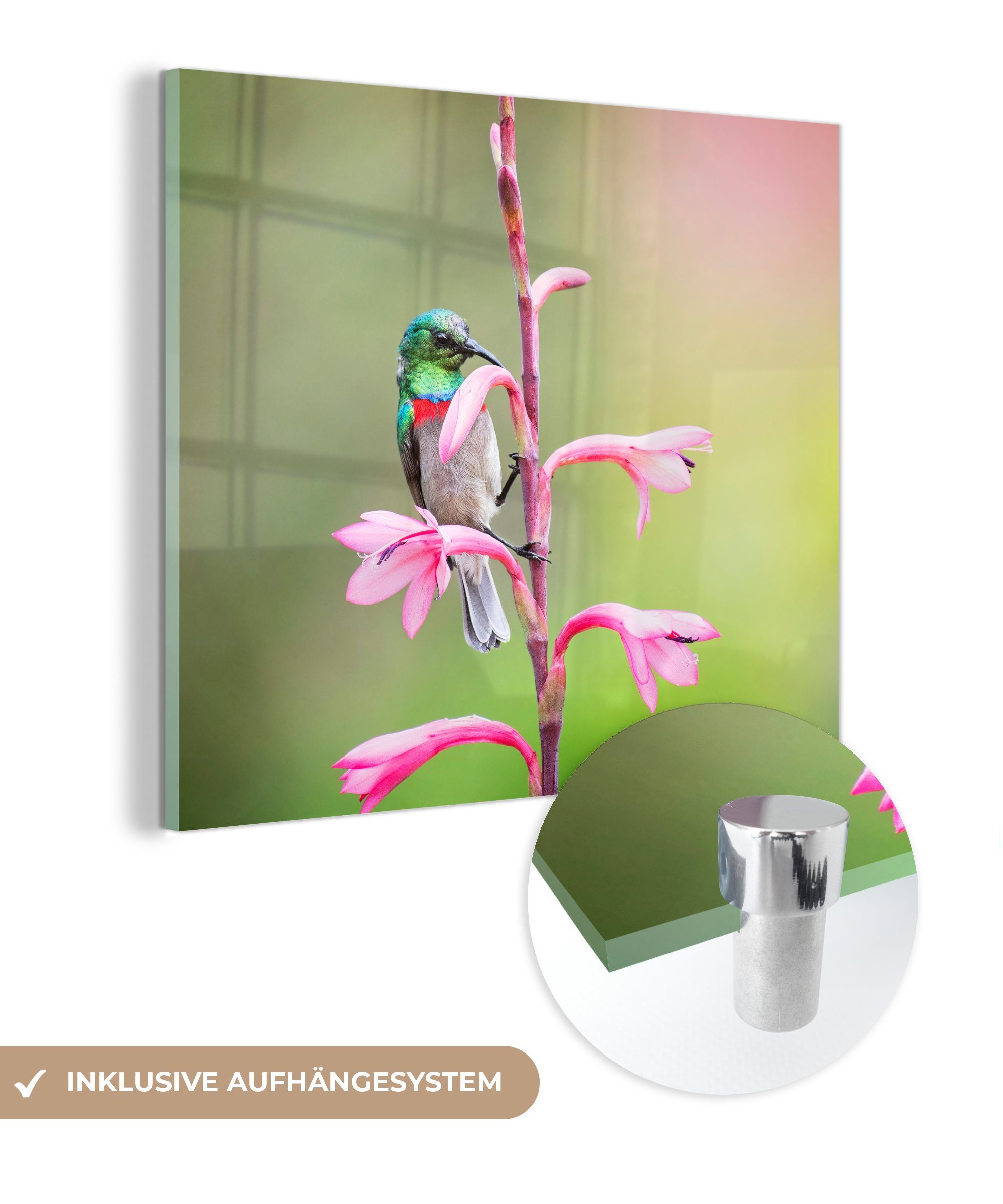 Bilder Foto Nahaufnahme auf Glas - mit Vogels auf Acrylglasbild auf (1 - rosa St), Glasbilder bunten - rosa eines Zweig MuchoWow Glas Wanddekoration einem Wandbild Blüten,