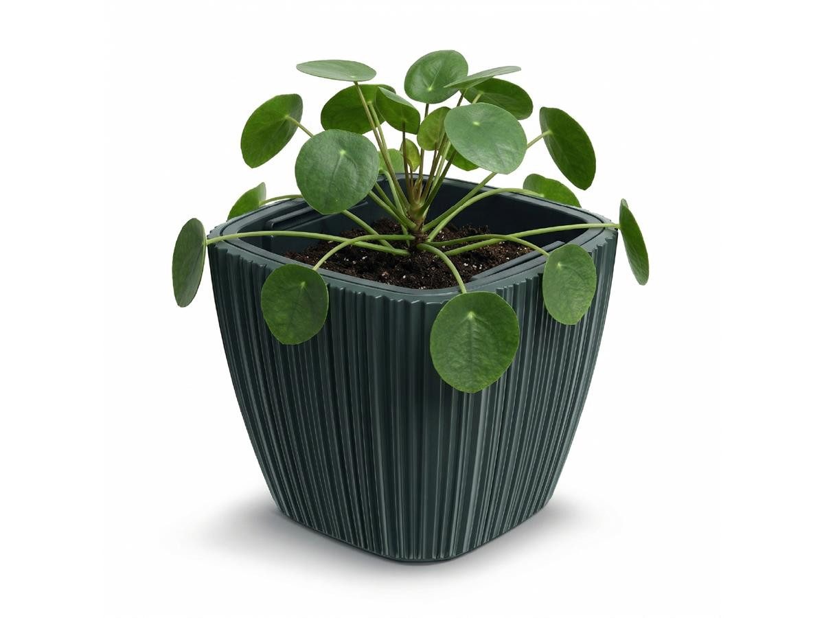 Prosperplast Blumentopf Oro, inkl. Pflanzeinsatz, 29 x 29 x 27 cm, dunkelgrau