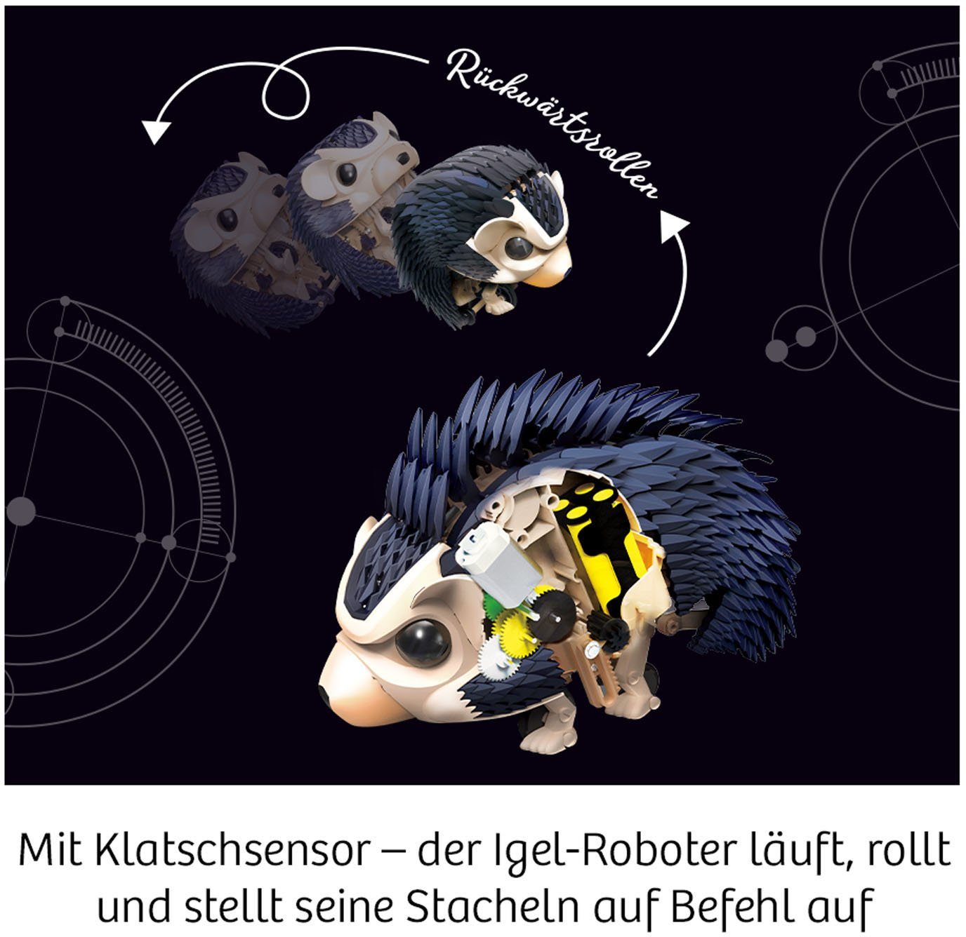 Igel-Roboter, Nuna mit Modellbausatz Soundsensor Dein Kosmos -