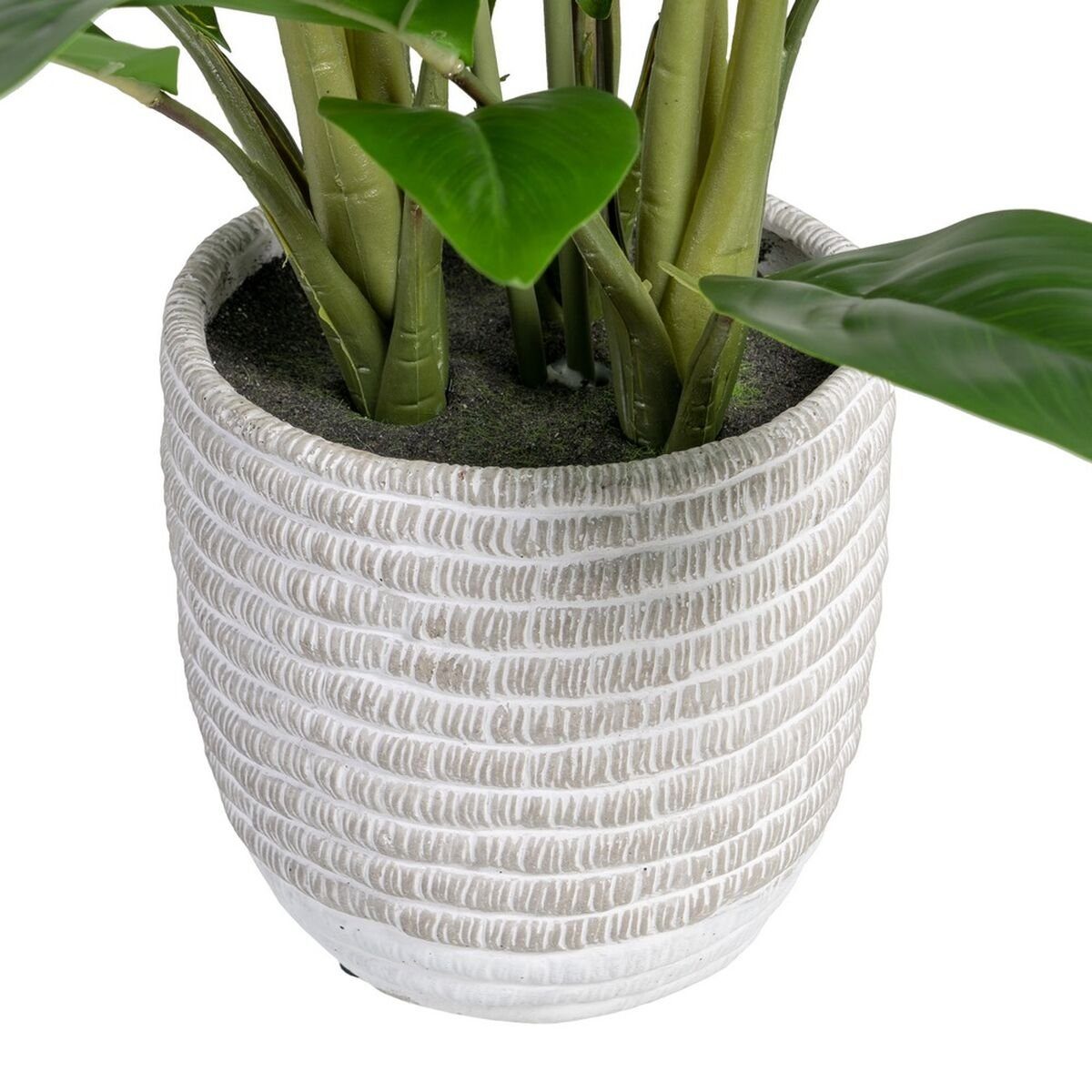 55 cm Dekorationspflanze PVC Bigbuy, x Höhe Pflanze, 48 x Zimmerpflanze Künstliche grün 41 Künstliche cm 40