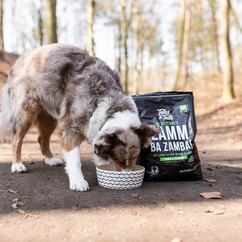 Tales & Tails Softtrockenfutter LammBa Zamba!, Trockenfutter für: Hunde