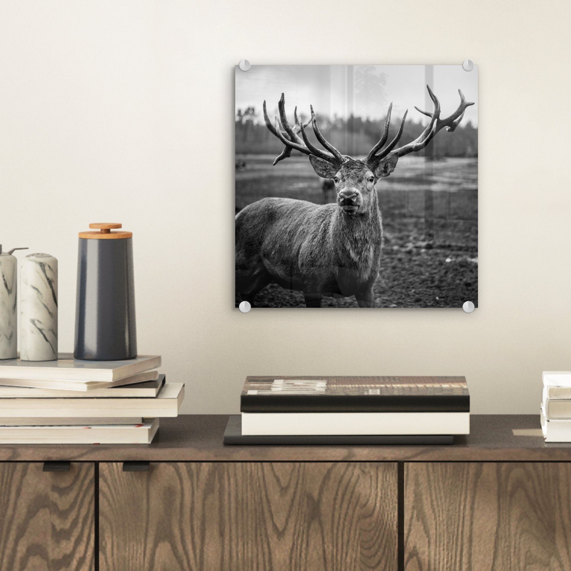 MuchoWow Acrylglasbild Tiere - Hirsch - günstig online kaufen