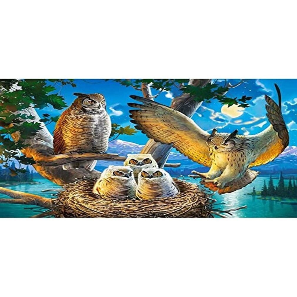 Castorland Puzzle Eule Familienpuzzle 500 Teile, Puzzleteile