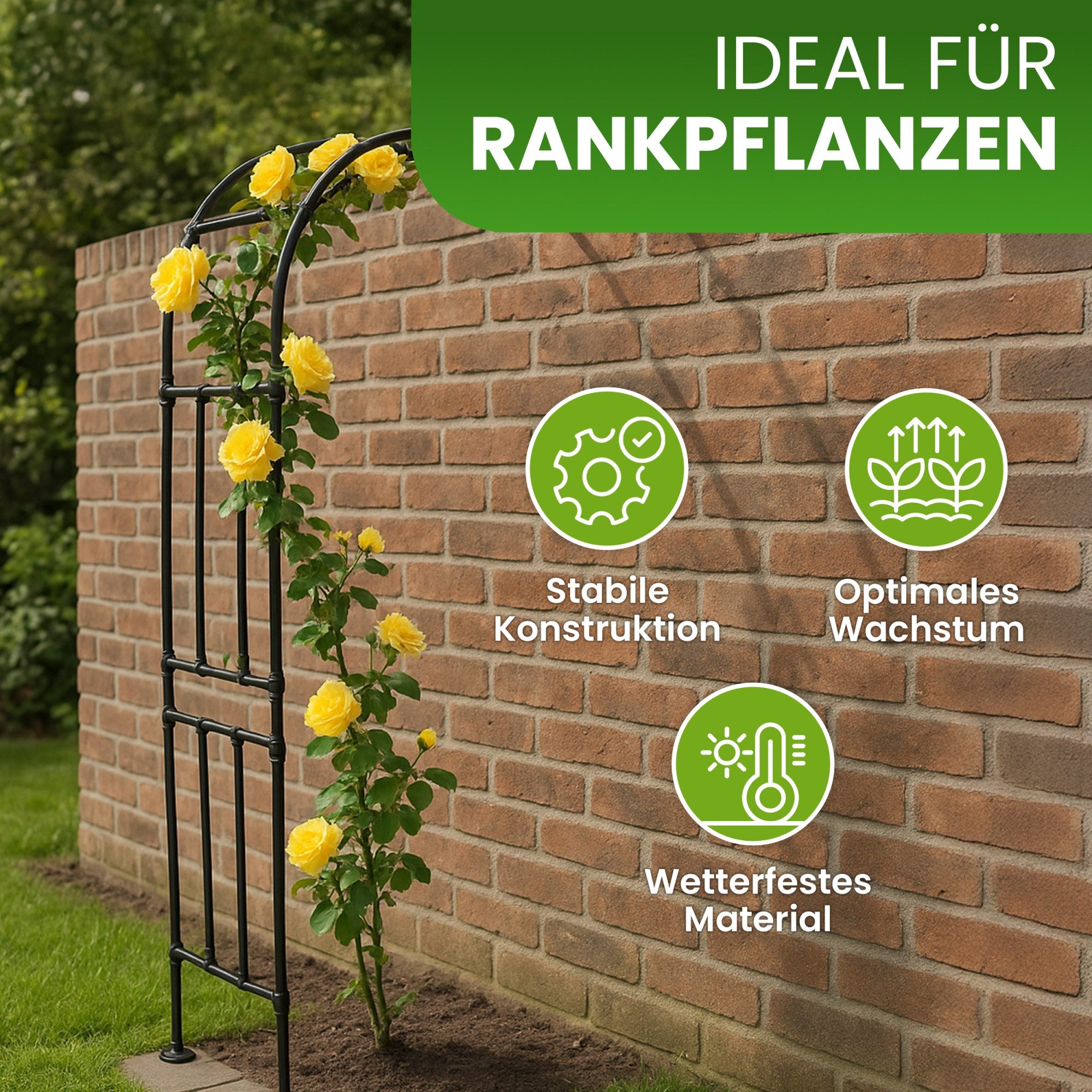 Gartenwelt Riegelsberger Rankhilfe