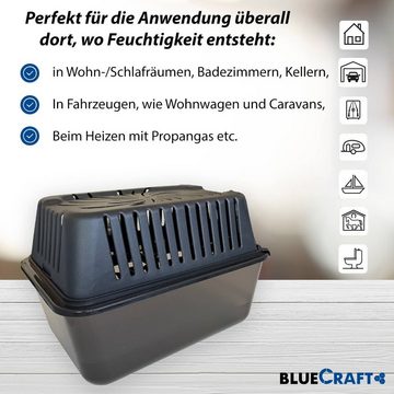 BlueCraft Luftentfeuchter Nachfüllpack Granulat Box Raumenfeuchter + 10x 1kg Granulat Vliesbeut, ohne Strom Nachfüller gegen Schimmel Schlafzimmer Wohnung