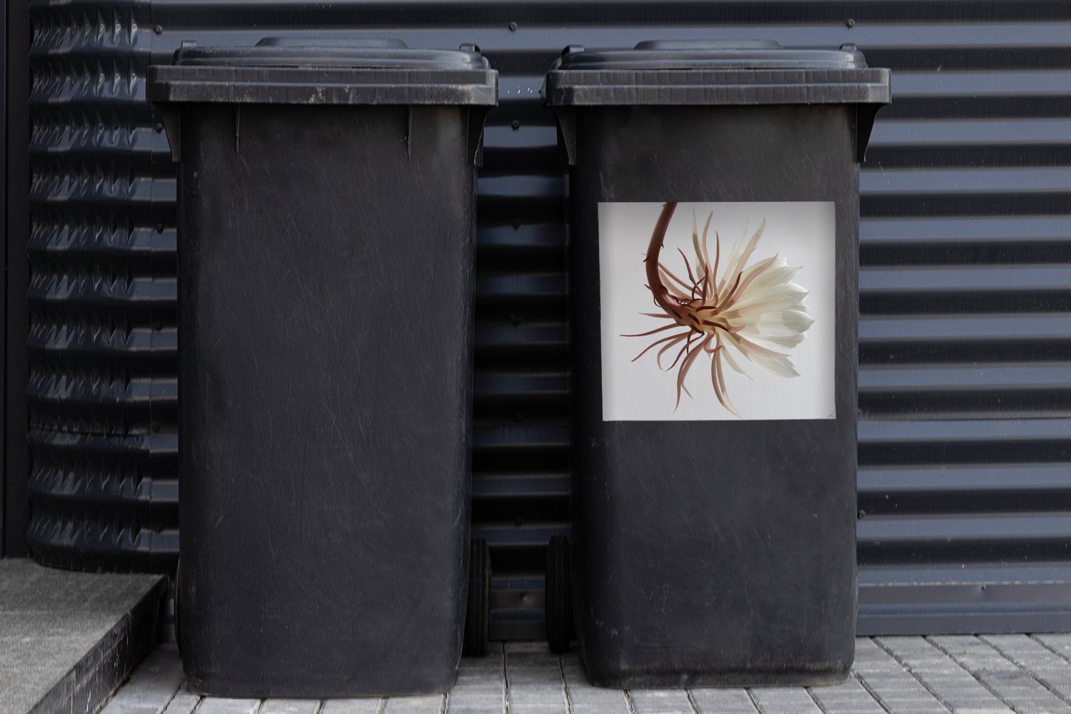 Container, Sticker, Abfalbehälter MuchoWow (1 Mülleimer-aufkleber, St), Mülltonne, Blumen - Weiß - Wandsticker Blätter