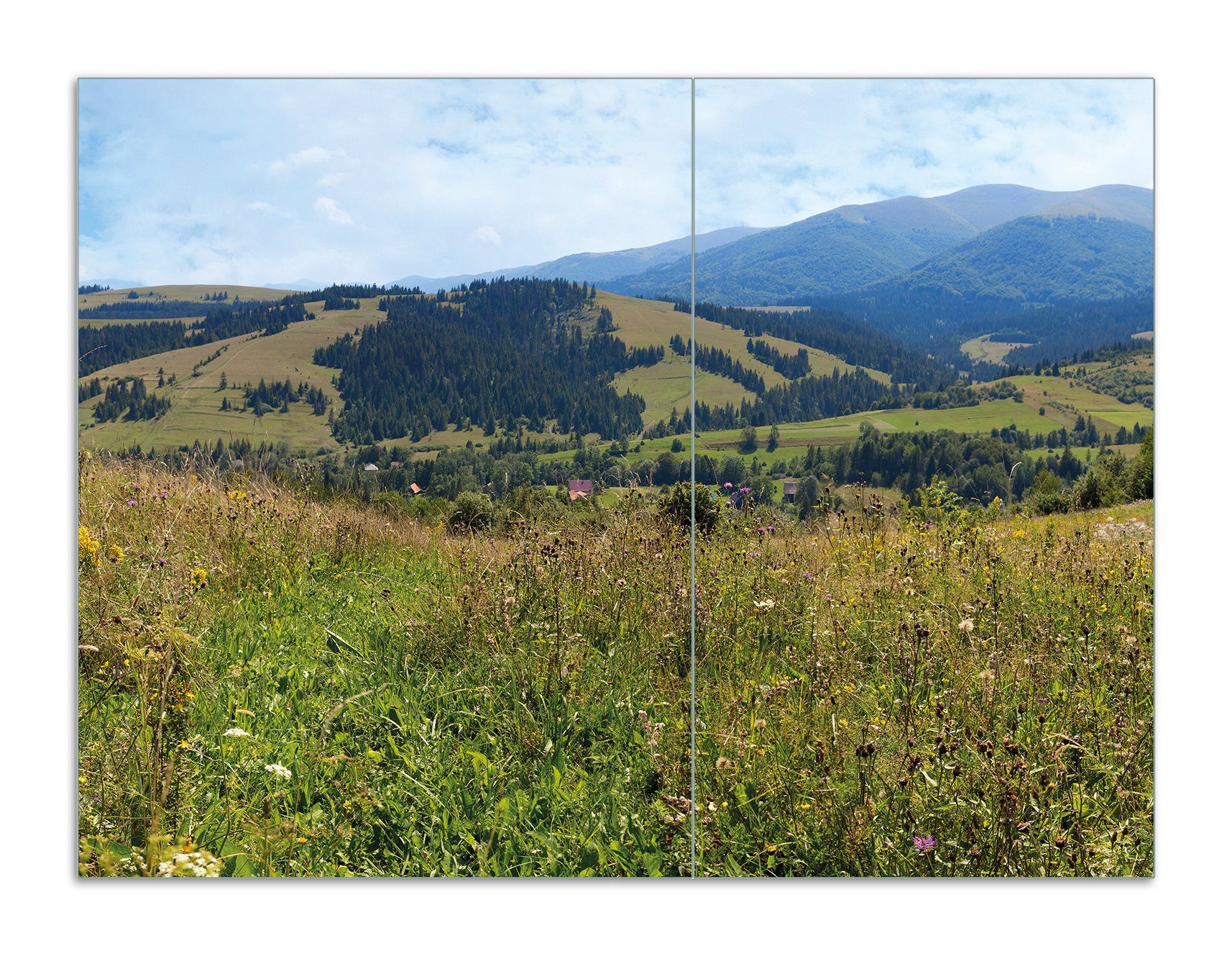 Wallario Herd-Abdeckplatte Bergwiese in den Karpaten, ESG-Sicherheitsglas, (Glasplatte, 2 tlg., inkl. 5mm Noppen), verschiedene Größen