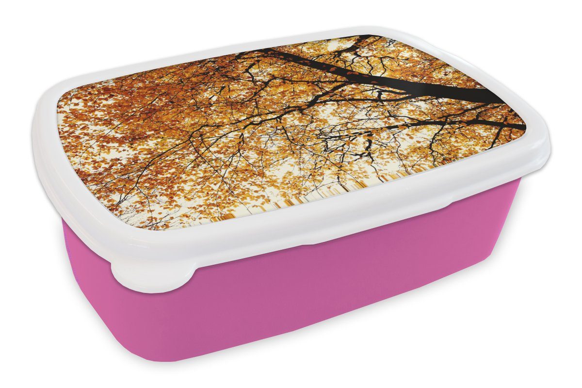 Brotbox Kunststoff Brotdose - rosa - Baum für MuchoWow Snackbox, Lunchbox Mädchen, Erwachsene, Kunststoff, Rustikal, Jahreszeiten Kinder, - Herbstblätter (2-tlg),