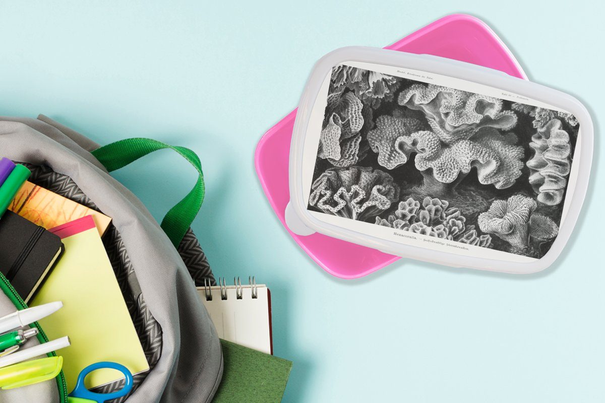 Ernst Alte - Kunst - Natur, Kinder, Erwachsene, - Kunststoff rosa - Mädchen, für Brotbox Lunchbox Brotdose Haeckel MuchoWow Snackbox, Koralle Kunststoff, Meister (2-tlg),