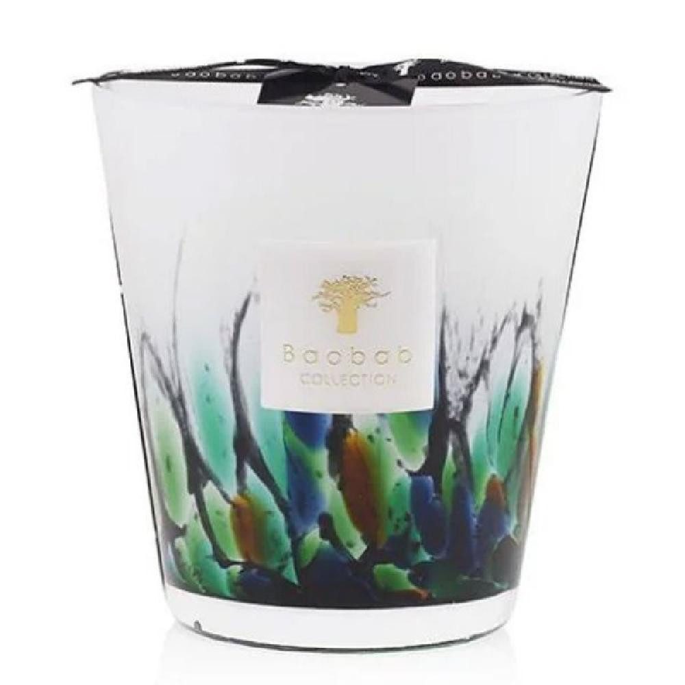 Baobab Duftkerze Duftkerze Rainforest Amazonia Max 16 (1kg)