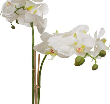 Kunstpflanze Schmetterlingsorchidee - Phalaenopsis Kunstpflanze 71 cm, getopft, fleur ami, Höhe 71 cm