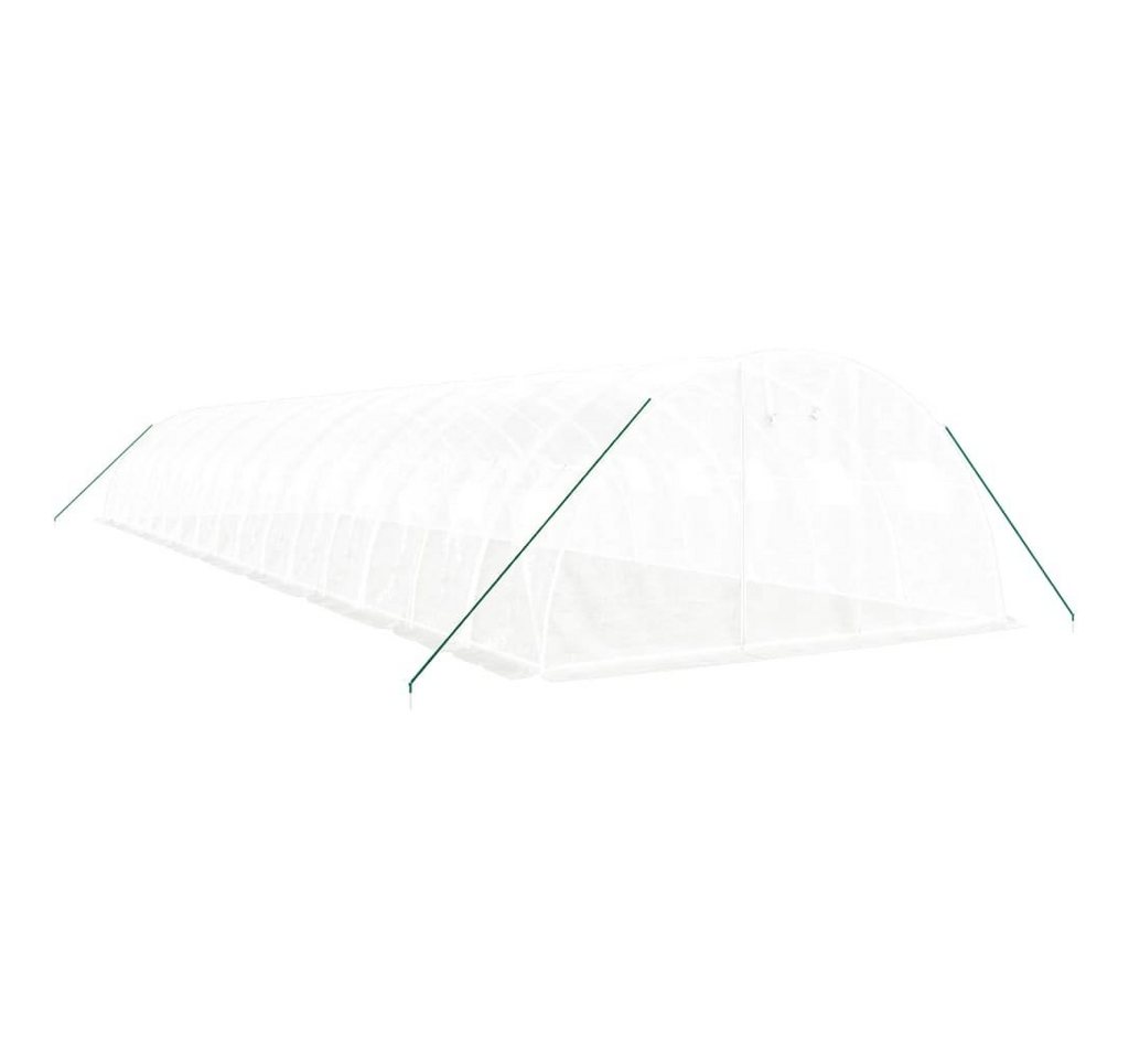 vidaXL Gewächshaus Foliengewächshaus T... vidaXL Gewächshaus Foliengewächshaus T...