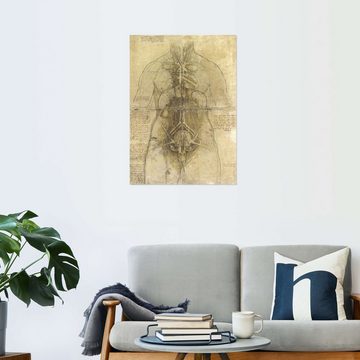 Posterlounge Wandfolie Leonardo da Vinci, Anatomie einer Frau, Illustration