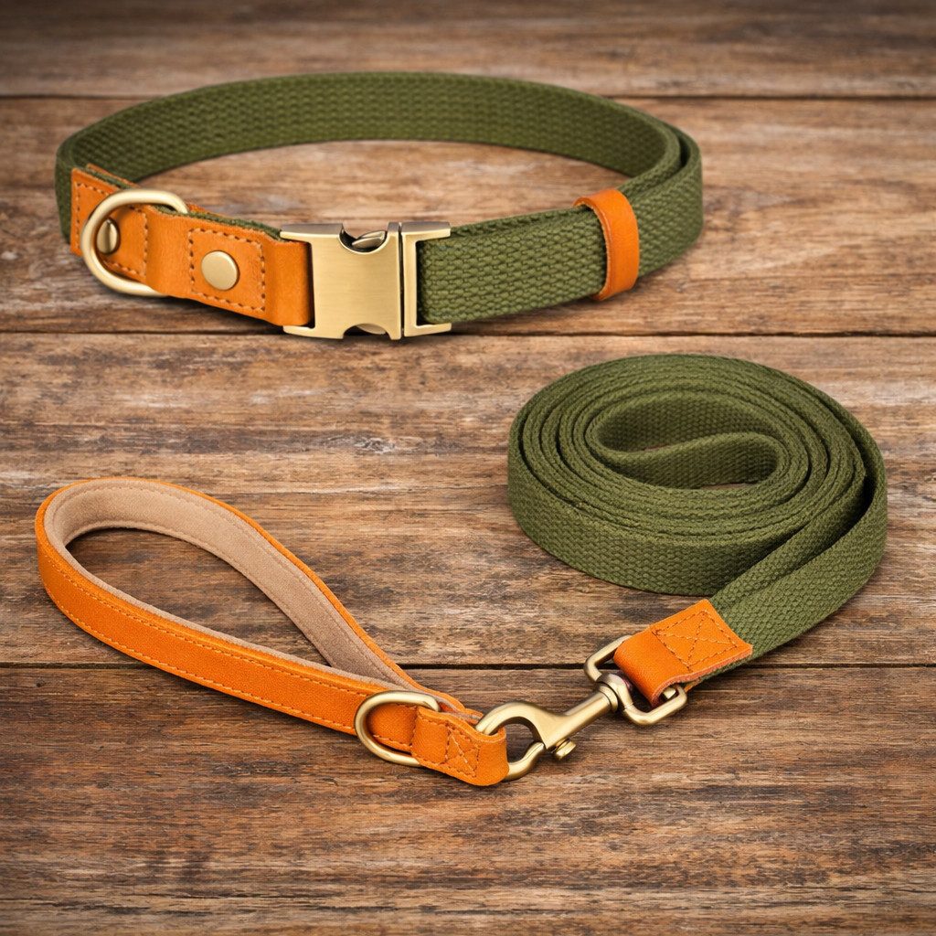 Illes-Laedchen Hunde-Halsband Set Hundehalsband und Hundeleine Leine und Halsband Nylon Leder, hochwertigste Qualität - erhältlich in vielen Größen und Farben
