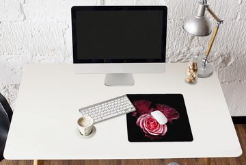 MuchoWow Gaming Mauspad Ein Foto von rosa Rosen mit schwarzem Hintergrund (1-St), Mousepad mit Rutschfester Unterseite, Gaming, 40x40 cm, XXL, Großes