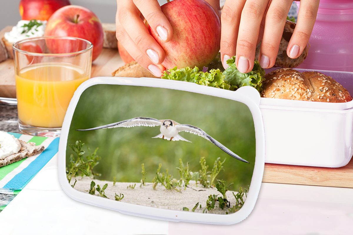 Kunststoff, Mädchen Jungs Kinder (2-tlg), und Erwachsene, und Lunchbox weiß für Vogel - Sand Brotdose, für Pflanzen, MuchoWow - Brotbox