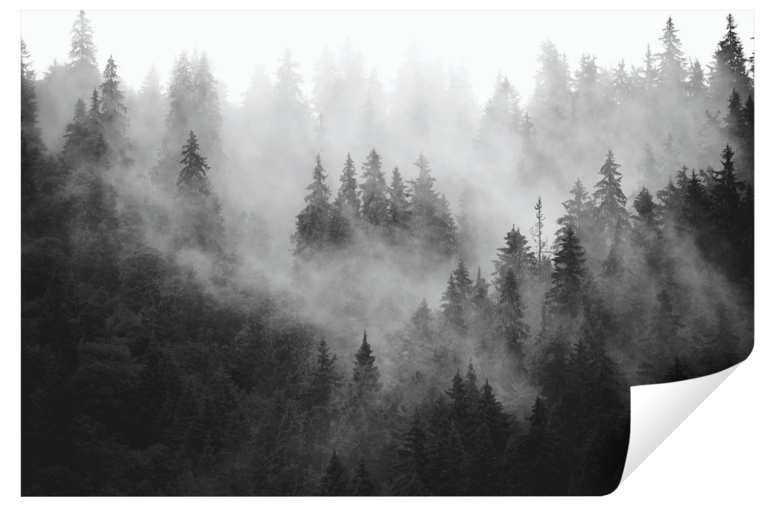 Wallarena Fototapete Wald im Nebel Vlies Tapete Wohnzimmer Schlafzimmer Wan günstig online kaufen