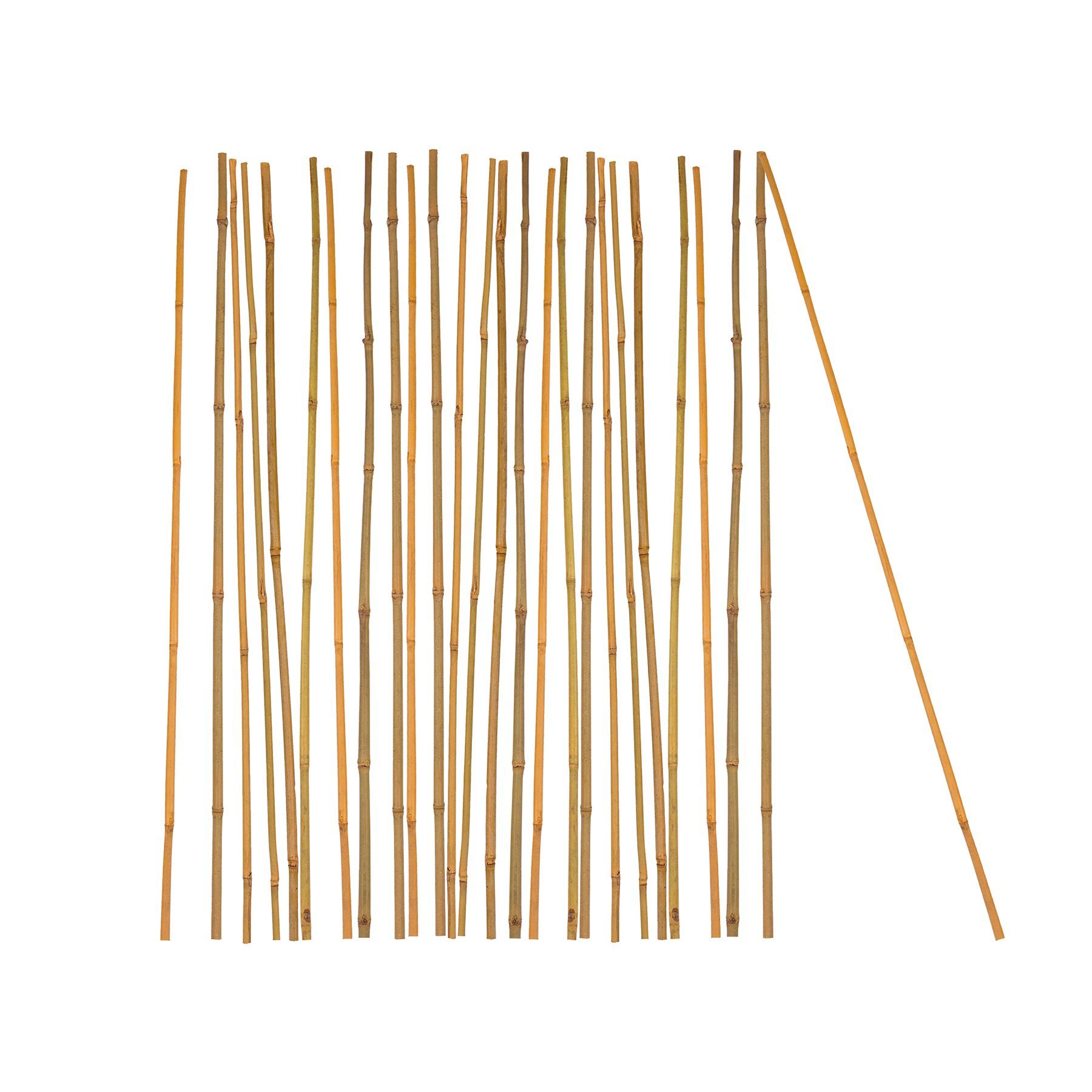 BigDean Ranksäule Pflanzstab Bambusstab 100% Naturprodukt Set, 25 St., Bambusstäbe, 100% Natur, Drinnen & Draußen geeignegt.