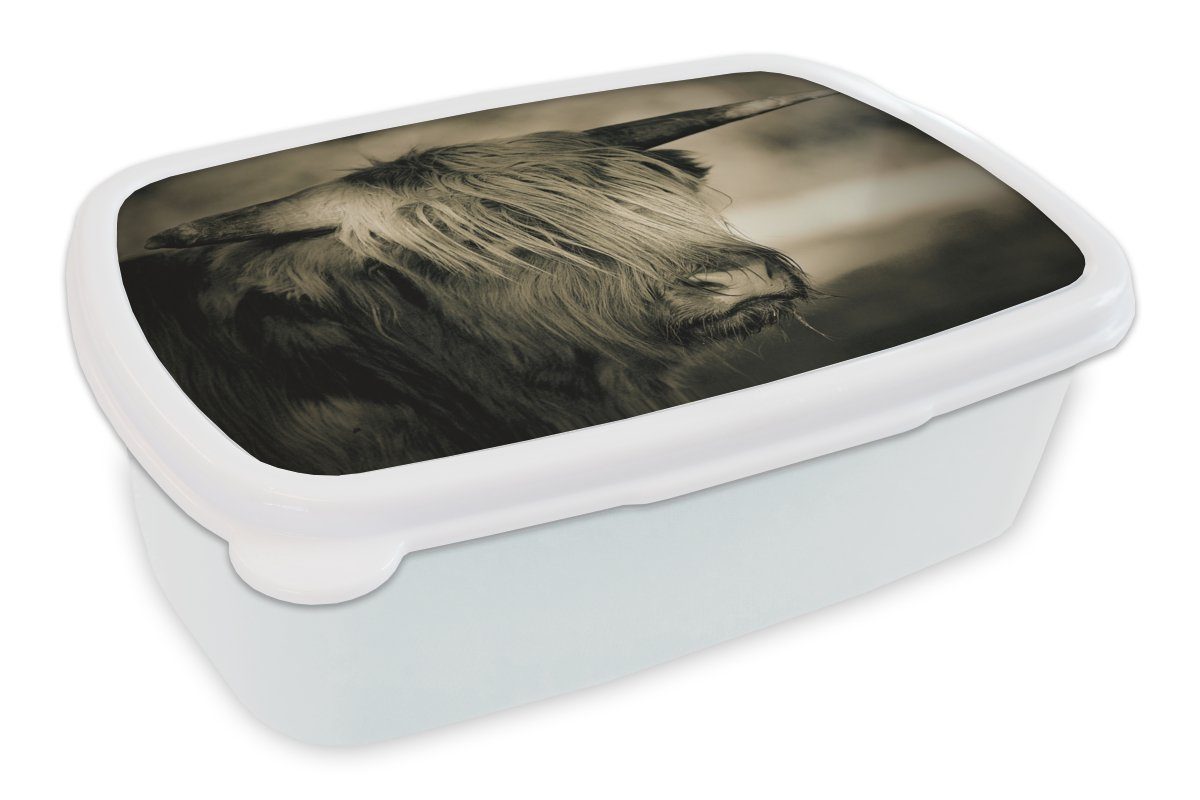 MuchoWow Lunchbox Schottischer Highlander - Tiere - Haare, Kunststoff, (2-tlg), Brotbox für Kinder und Erwachsene, Brotdose, für Jungs und Mädchen weiß
