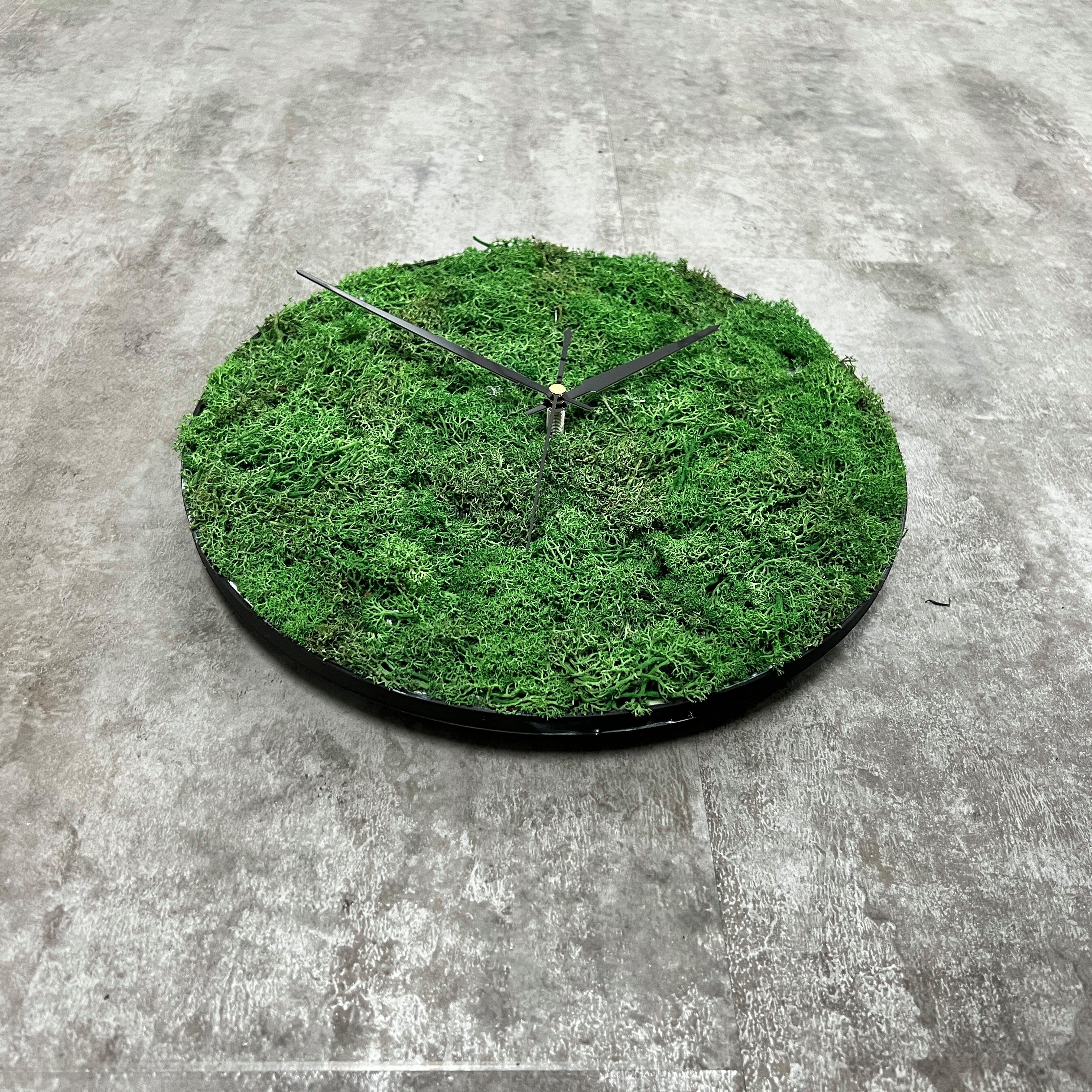 dixtime Wanduhr dixtime Islandmoos Wanduhr 30cm Durchmesser (Immergrün das ganze Jahr - 0% Pflege)