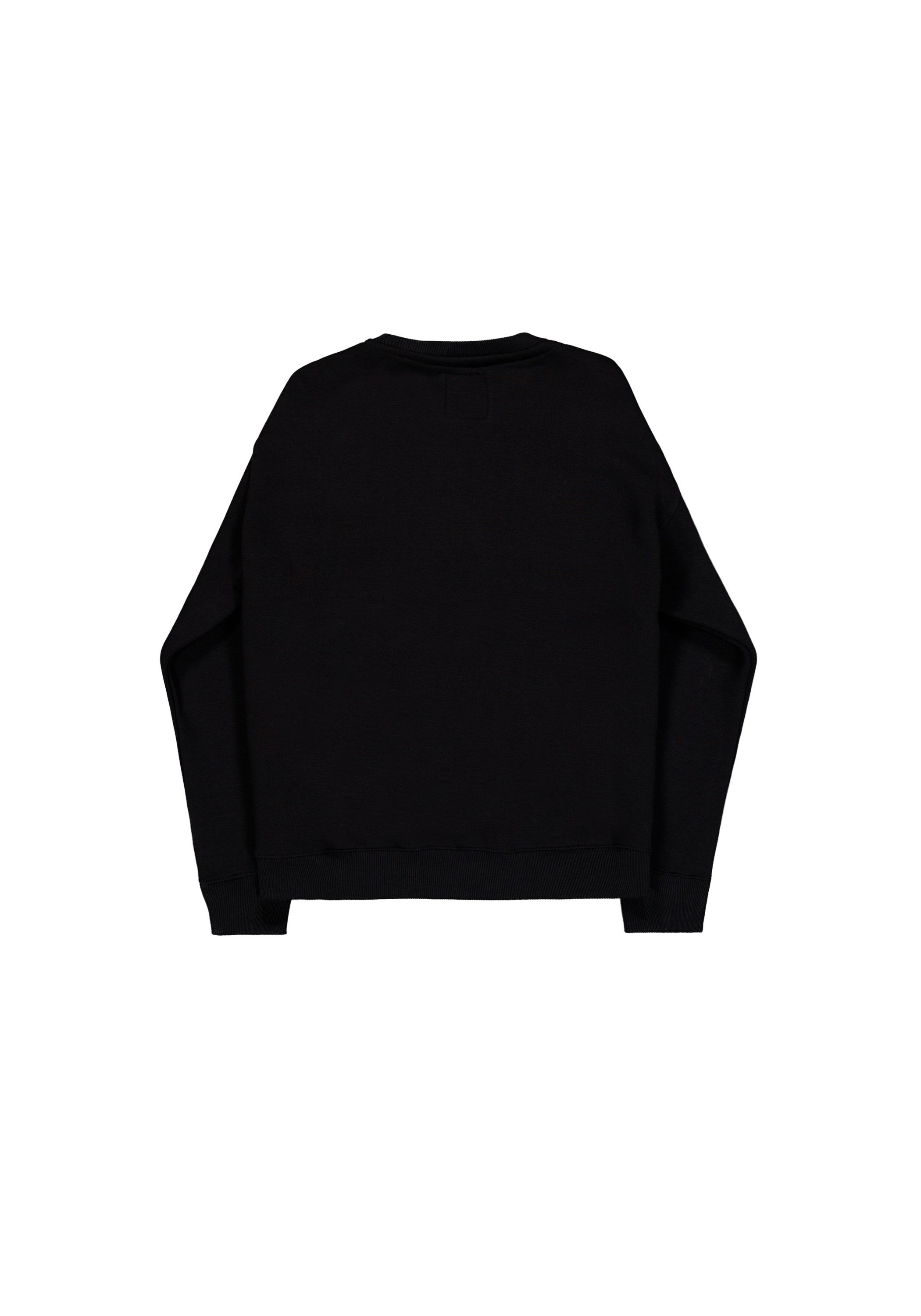 Alpha Industries Sweater Alpha PP Sweatshirt günstig online kaufen